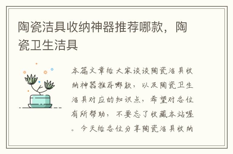 陶瓷洁具收纳神器推荐哪款，陶瓷卫生洁具