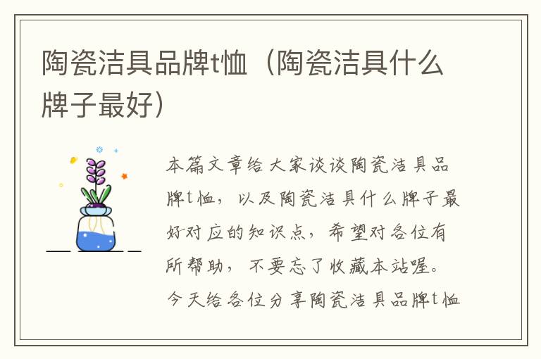 陶瓷洁具品牌t恤（陶瓷洁具什么牌子最好）