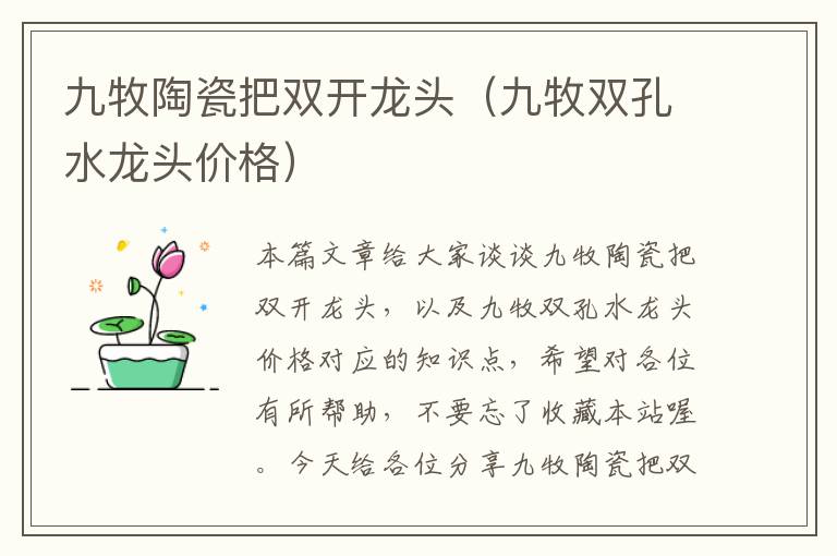 九牧陶瓷把双开龙头（九牧双孔水龙头价格）