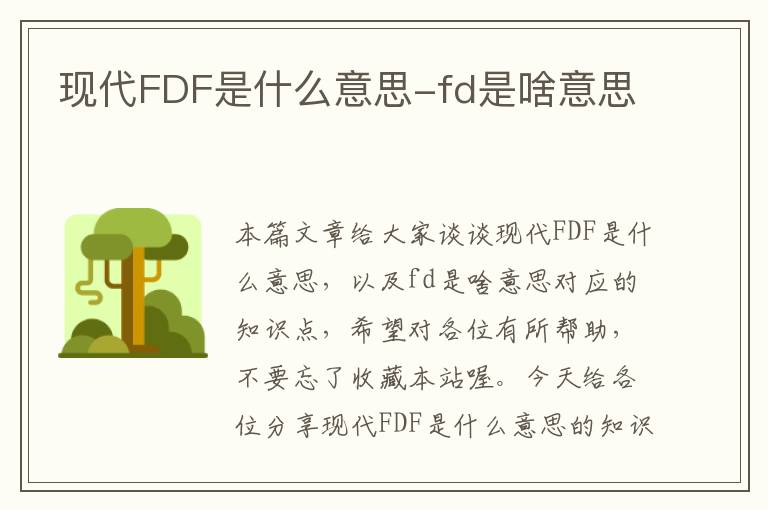 现代FDF是什么意思-fd是啥意思