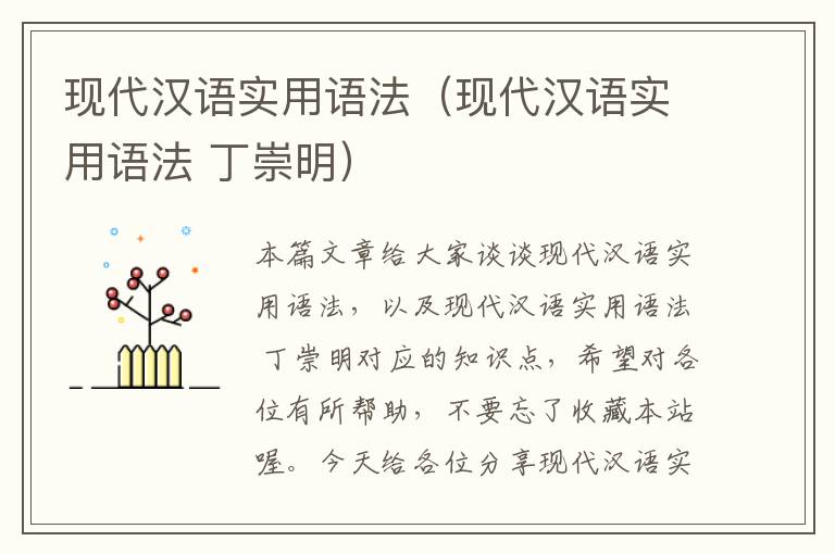 现代汉语实用语法（现代汉语实用语法 丁崇明）