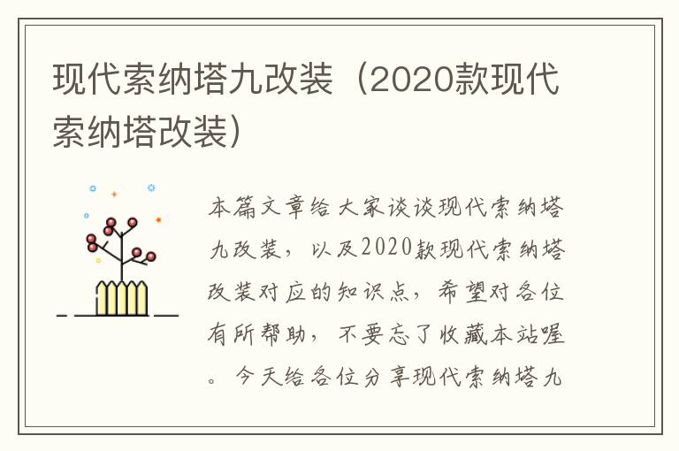 现代索纳塔九改装（2020款现代索纳塔改装）