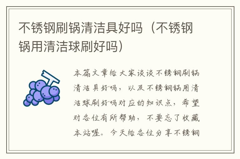 不锈钢刷锅清洁具好吗（不锈钢锅用清洁球刷好吗）