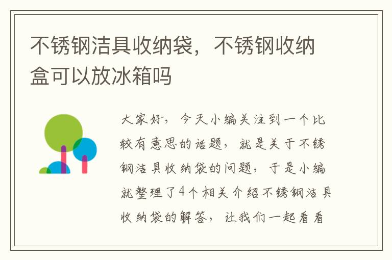 不锈钢洁具收纳袋，不锈钢收纳盒可以放冰箱吗