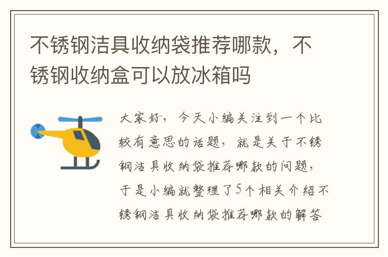 不锈钢洁具收纳袋推荐哪款，不锈钢收纳盒可以放冰箱吗