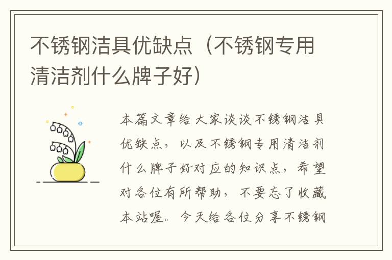 不锈钢洁具优缺点（不锈钢专用清洁剂什么牌子好）