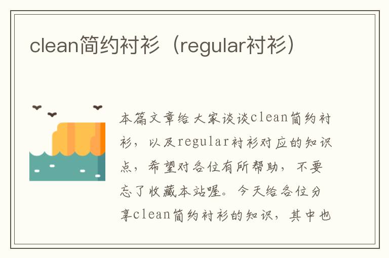 clean简约衬衫（regular衬衫）