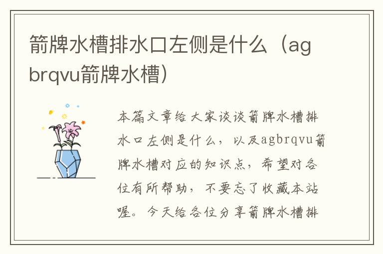 箭牌水槽排水口左侧是什么（agbrqvu箭牌水槽）