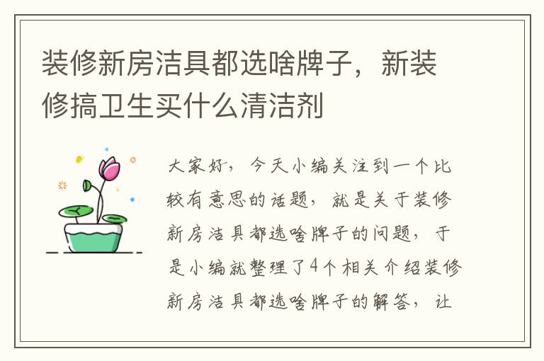 装修新房洁具都选啥牌子，新装修搞卫生买什么清洁剂