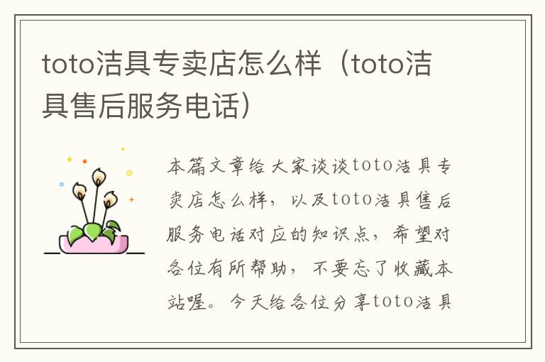 toto洁具专卖店怎么样（toto洁具售后服务电话）