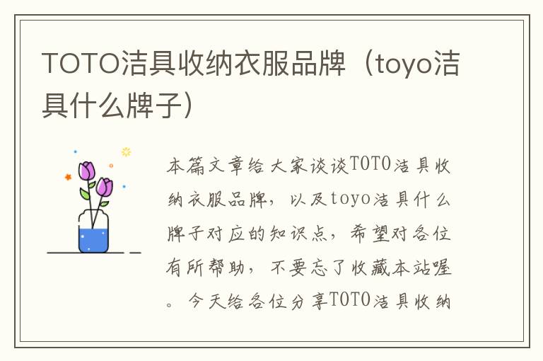 TOTO洁具收纳衣服品牌（toyo洁具什么牌子）