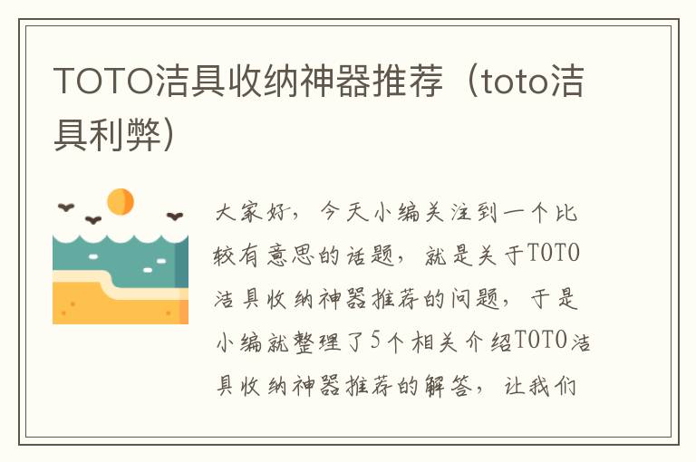 TOTO洁具收纳神器推荐（toto洁具利弊）