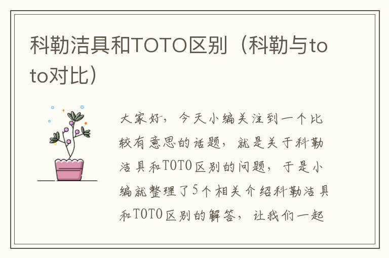 科勒洁具和TOTO区别（科勒与toto对比）