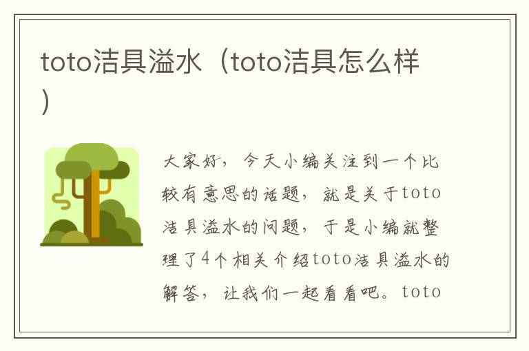 toto洁具溢水（toto洁具怎么样）