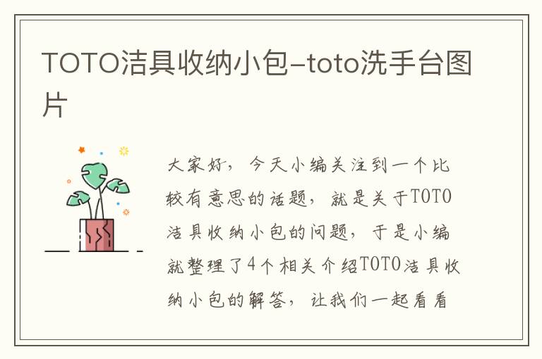 TOTO洁具收纳小包-toto洗手台图片