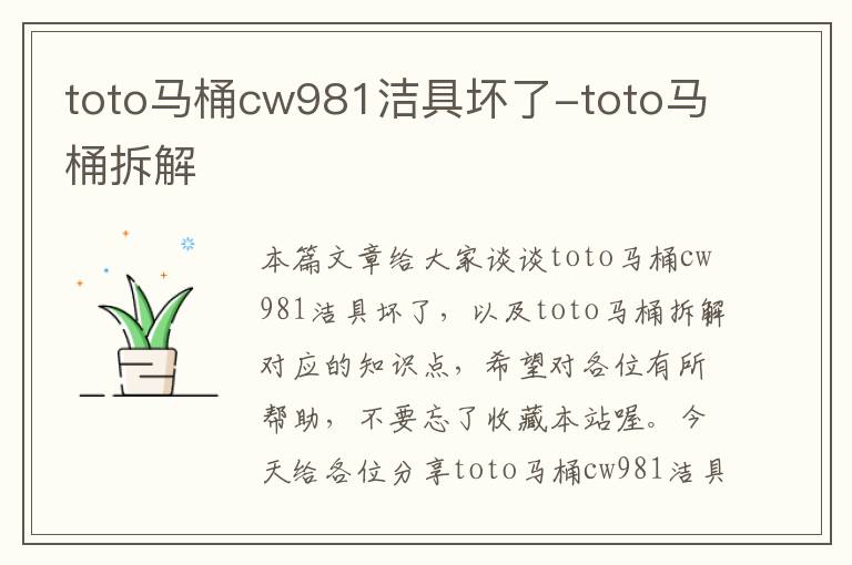 toto马桶cw981洁具坏了-toto马桶拆解