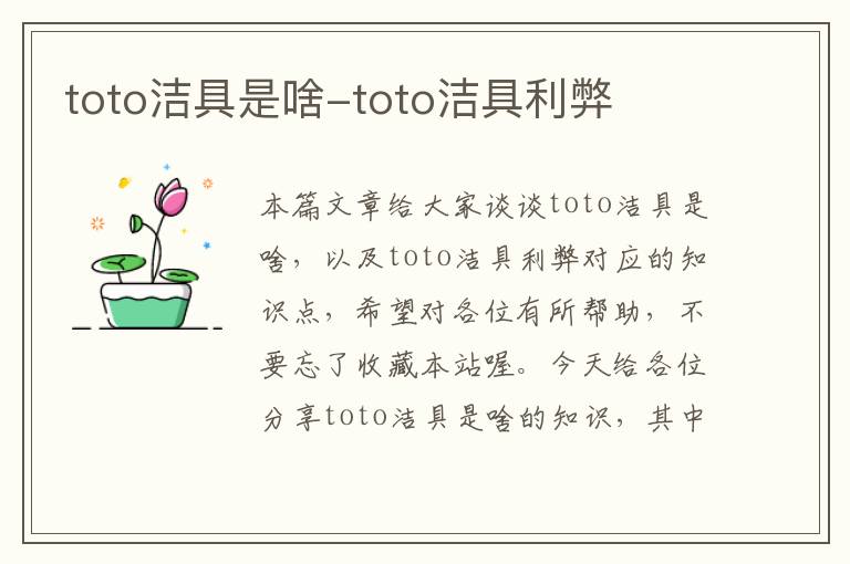 toto洁具是啥-toto洁具利弊