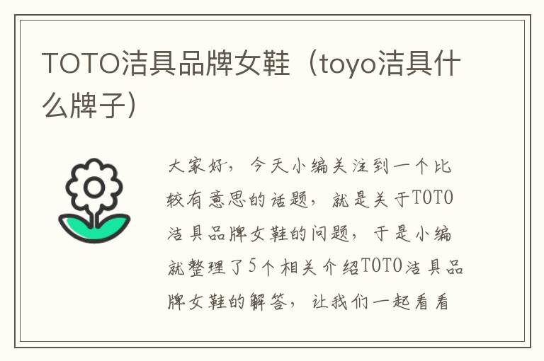 TOTO洁具品牌女鞋（toyo洁具什么牌子）