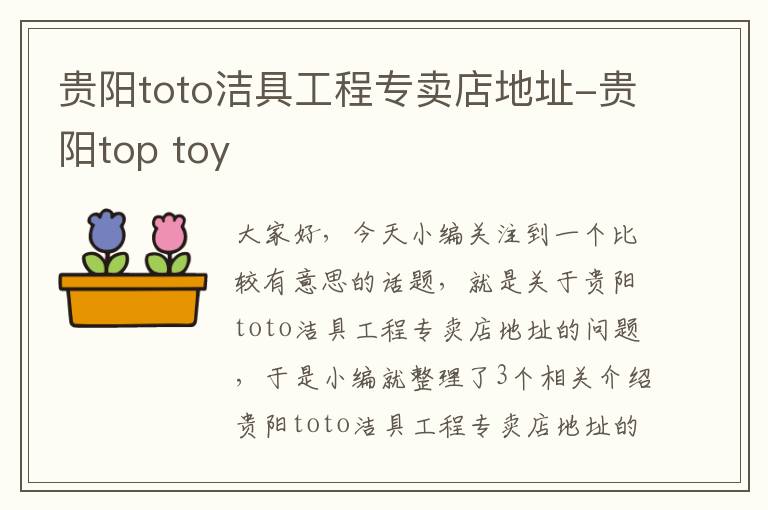 贵阳toto洁具工程专卖店地址-贵阳top toy