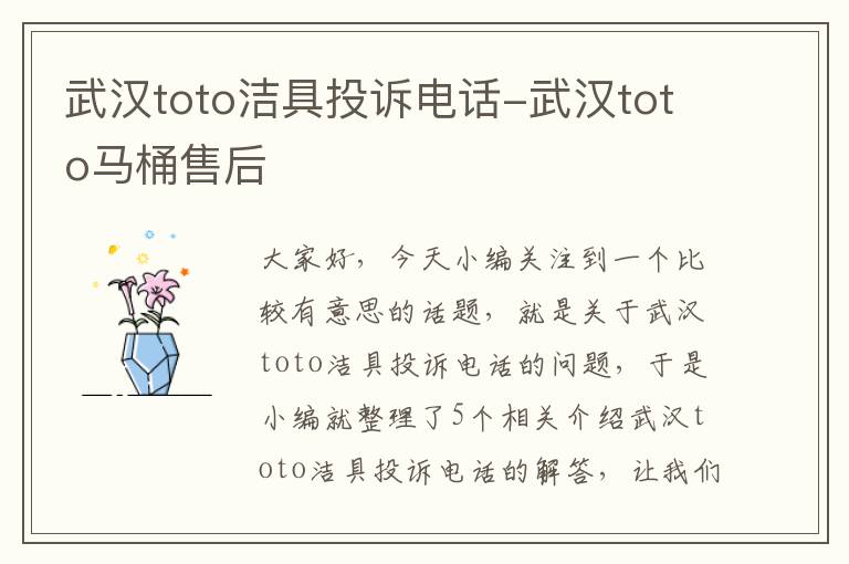 武汉toto洁具投诉电话-武汉toto马桶售后