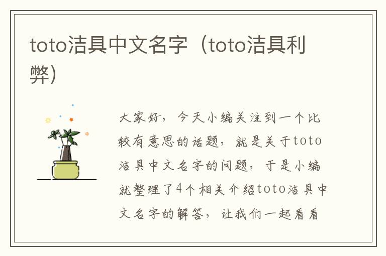 toto洁具中文名字（toto洁具利弊）