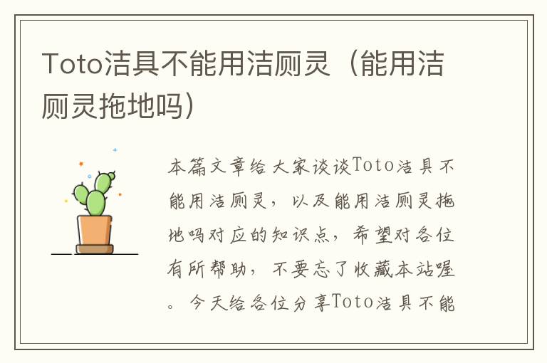 Toto洁具不能用洁厕灵（能用洁厕灵拖地吗）