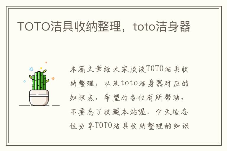 TOTO洁具收纳整理，toto洁身器