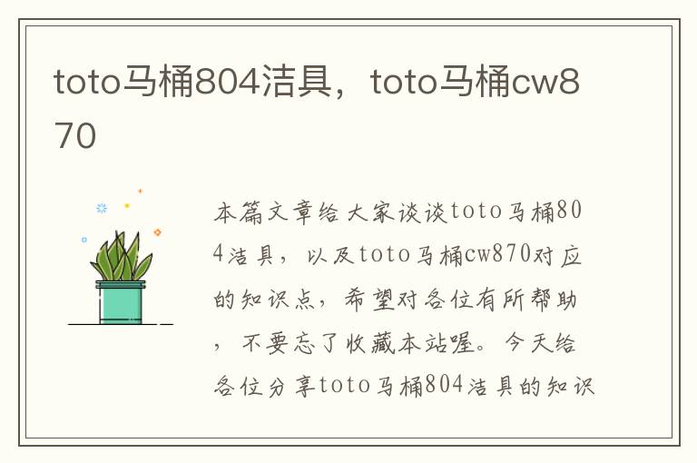 toto马桶804洁具，toto马桶cw870