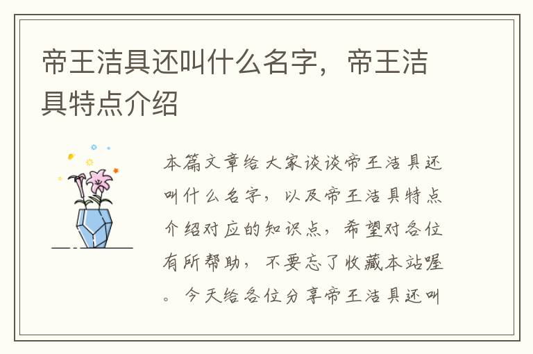 帝王洁具还叫什么名字，帝王洁具特点介绍