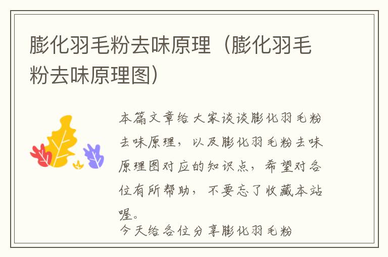 帝王洁具公司文化理念是什么，帝王洁具公司怎么样