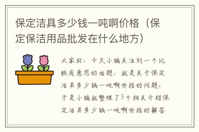 保定洁具多少钱一吨啊价格（保定保洁用品批发在什么地方）