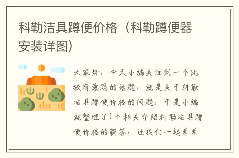 科勒洁具蹲便价格（科勒蹲便器安装详图）