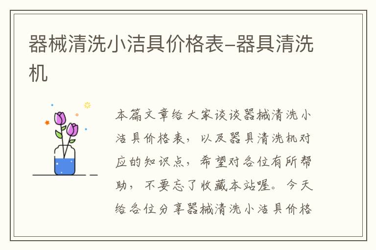 器械清洗小洁具价格表-器具清洗机