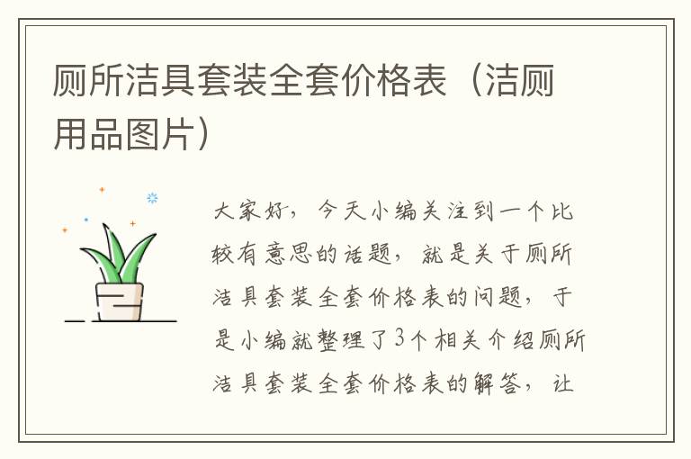 厕所洁具套装全套价格表（洁厕用品图片）