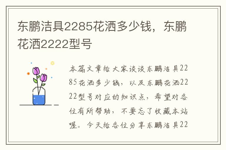 东鹏洁具2285花洒多少钱，东鹏花洒2222型号