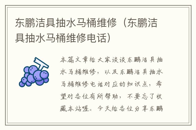 东鹏洁具抽水马桶维修（东鹏洁具抽水马桶维修电话）