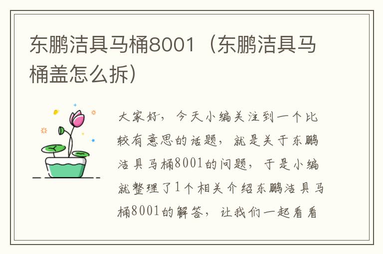 东鹏洁具马桶8001（东鹏洁具马桶盖怎么拆）