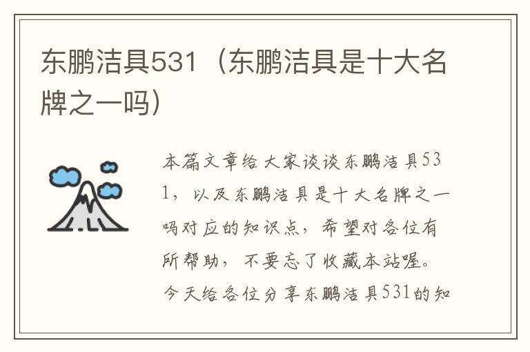 东鹏洁具531（东鹏洁具是十大名牌之一吗）