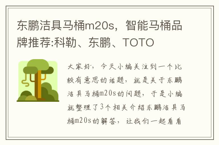 东鹏洁具马桶m20s，智能马桶品牌推荐:科勒、东鹏、TOTO