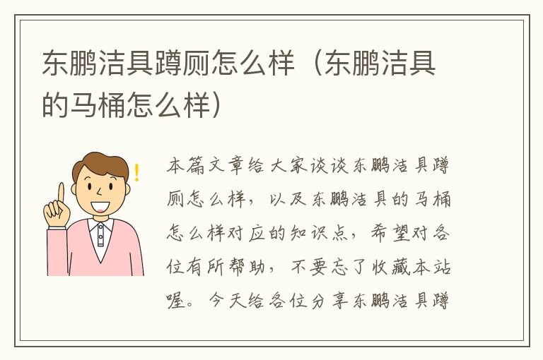 东鹏洁具蹲厕怎么样（东鹏洁具的马桶怎么样）