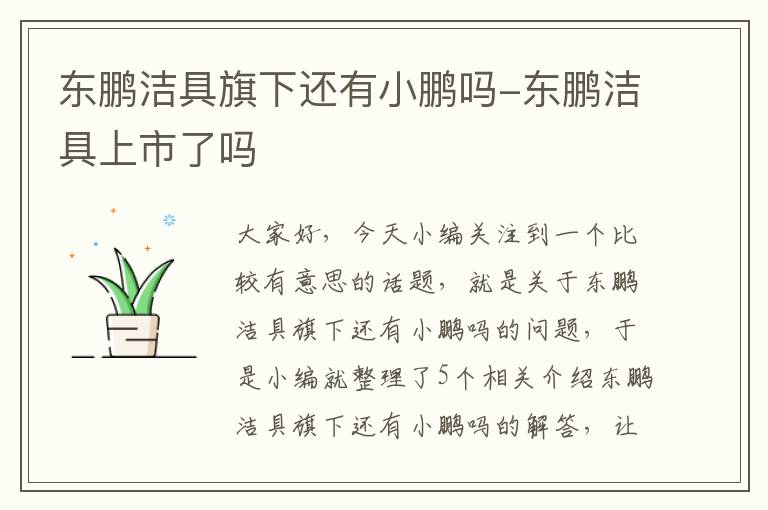 东鹏洁具旗下还有小鹏吗-东鹏洁具上市了吗