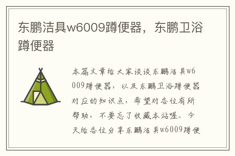 东鹏洁具w6009蹲便器，东鹏卫浴蹲便器