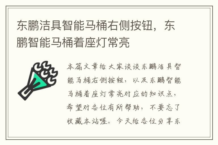 东鹏洁具智能马桶右侧按钮，东鹏智能马桶着座灯常亮