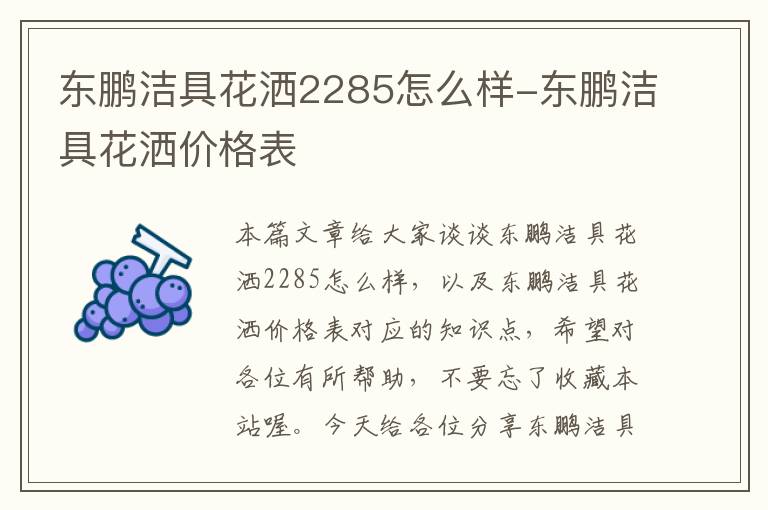 东鹏洁具花洒2285怎么样-东鹏洁具花洒价格表