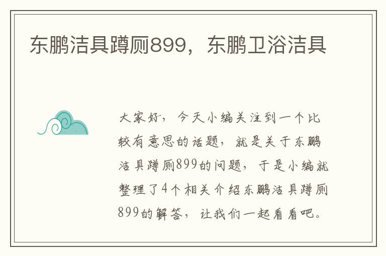 东鹏洁具蹲厕899，东鹏卫浴洁具