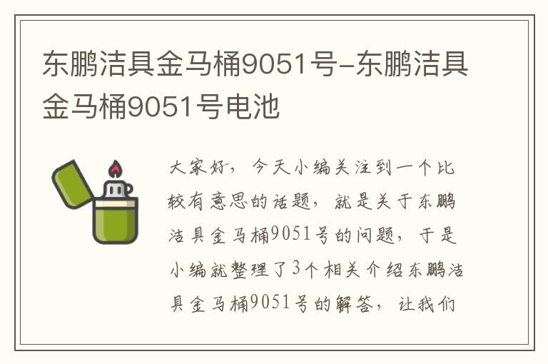 东鹏洁具金马桶9051号-东鹏洁具金马桶9051号电池