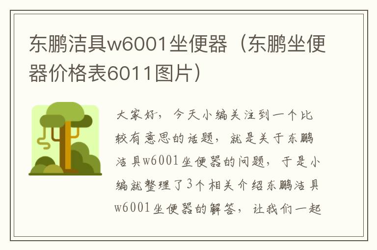 东鹏洁具w6001坐便器（东鹏坐便器价格表6011图片）