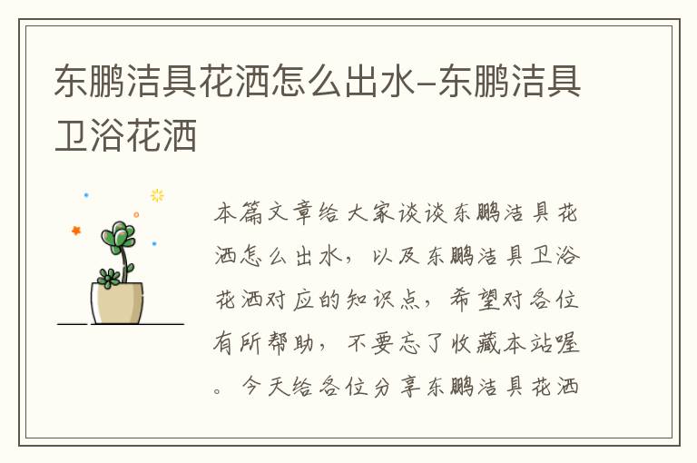 东鹏洁具花洒怎么出水-东鹏洁具卫浴花洒