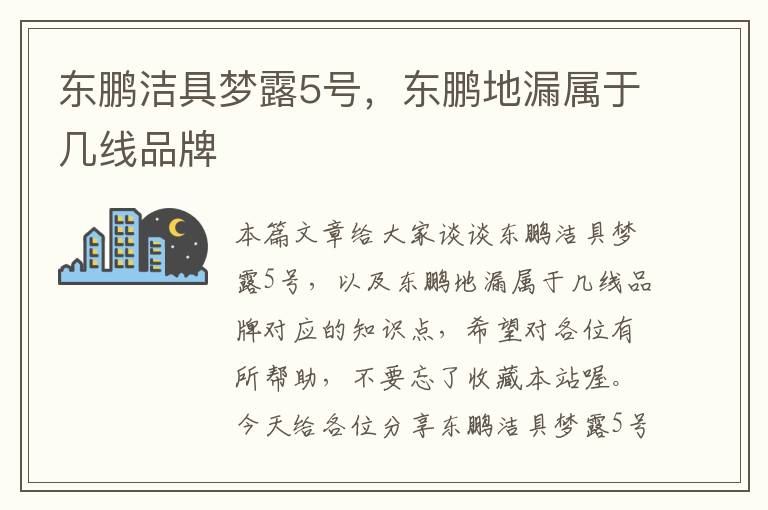 东鹏洁具梦露5号，东鹏地漏属于几线品牌