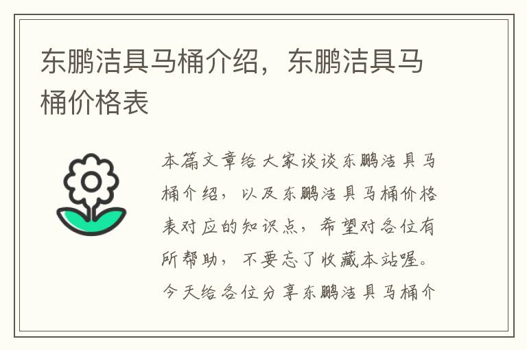 东鹏洁具马桶介绍，东鹏洁具马桶价格表